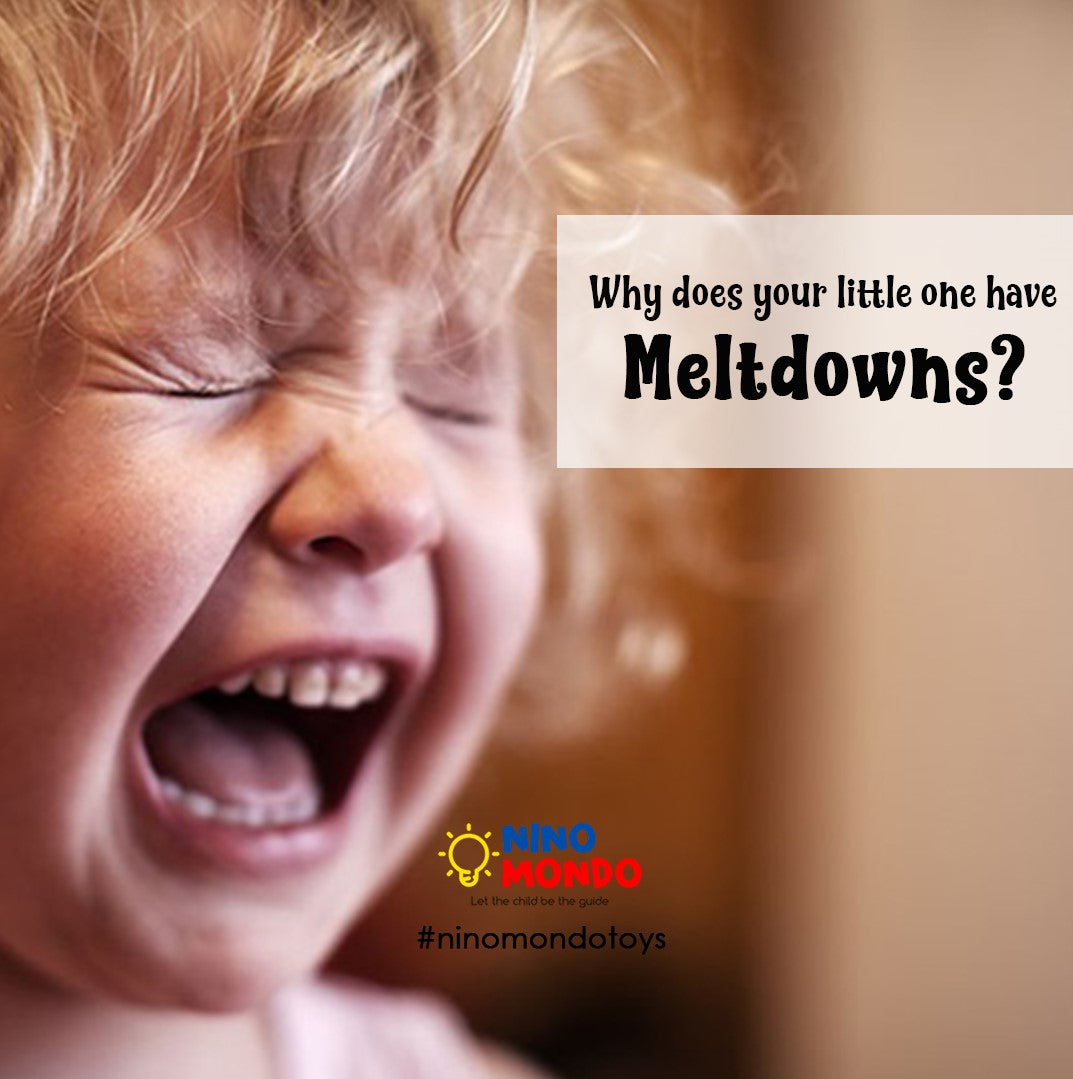 Why does your little ones have Meltdowns?