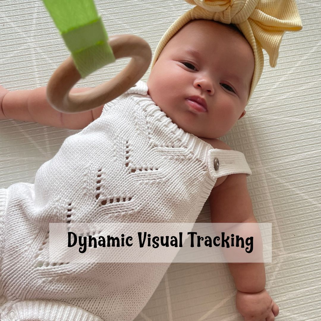 Visual tracking skills is essential in early development stages
