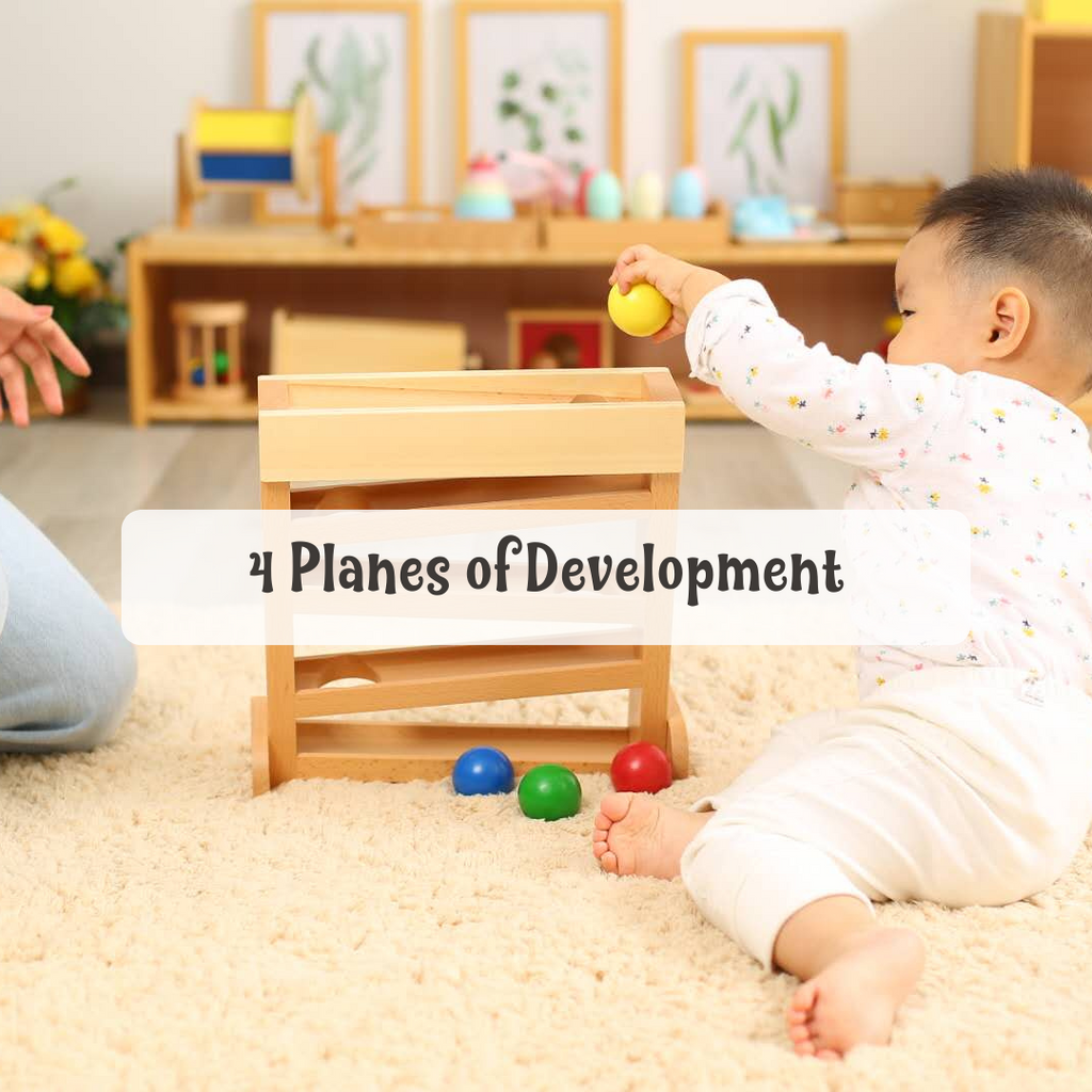 The 4 Planes of Development: Child Development Stages