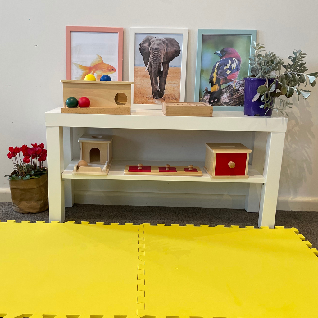 Creating a Prepared Environment with the Right Learning Toys