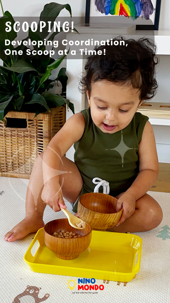 Skill Building with Scooping Activity: Developing Motor and Cognitive Skills