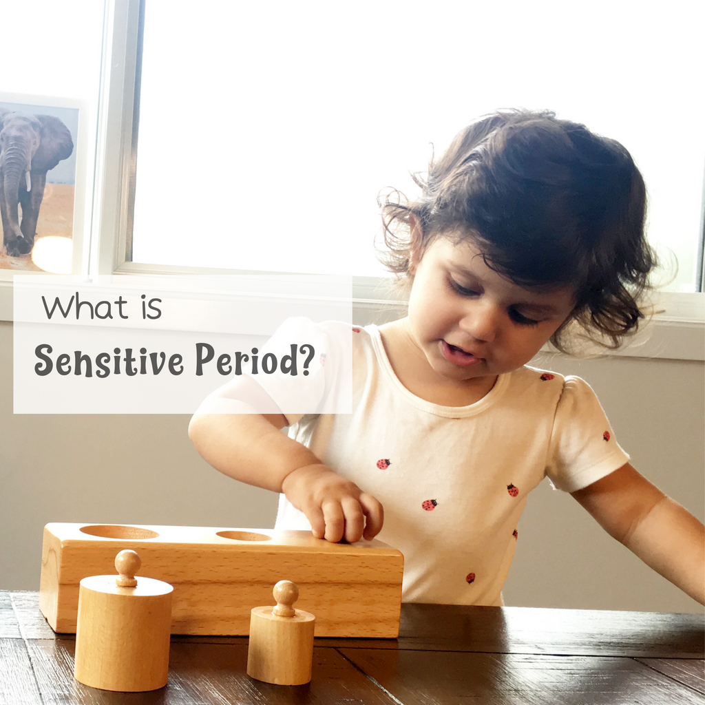 Child’s Sensitive Period and Its Gradual Development Through Different ...
