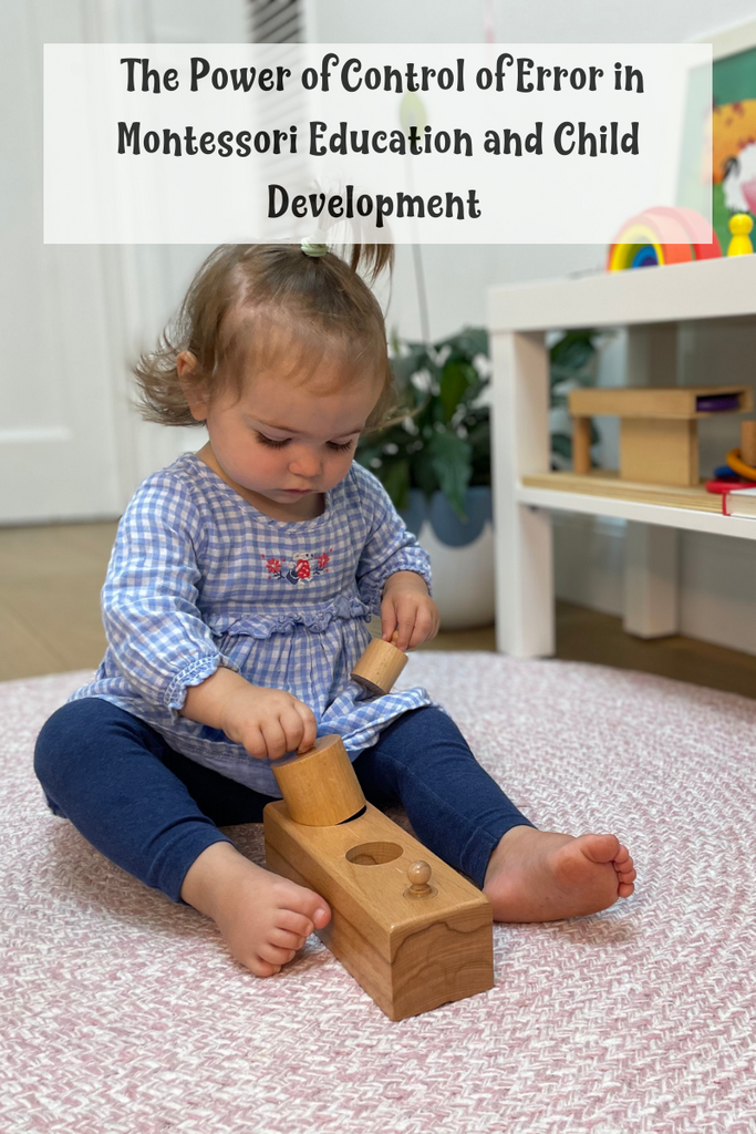 Role of ‘Control of Error’ in Montessori Method of child development