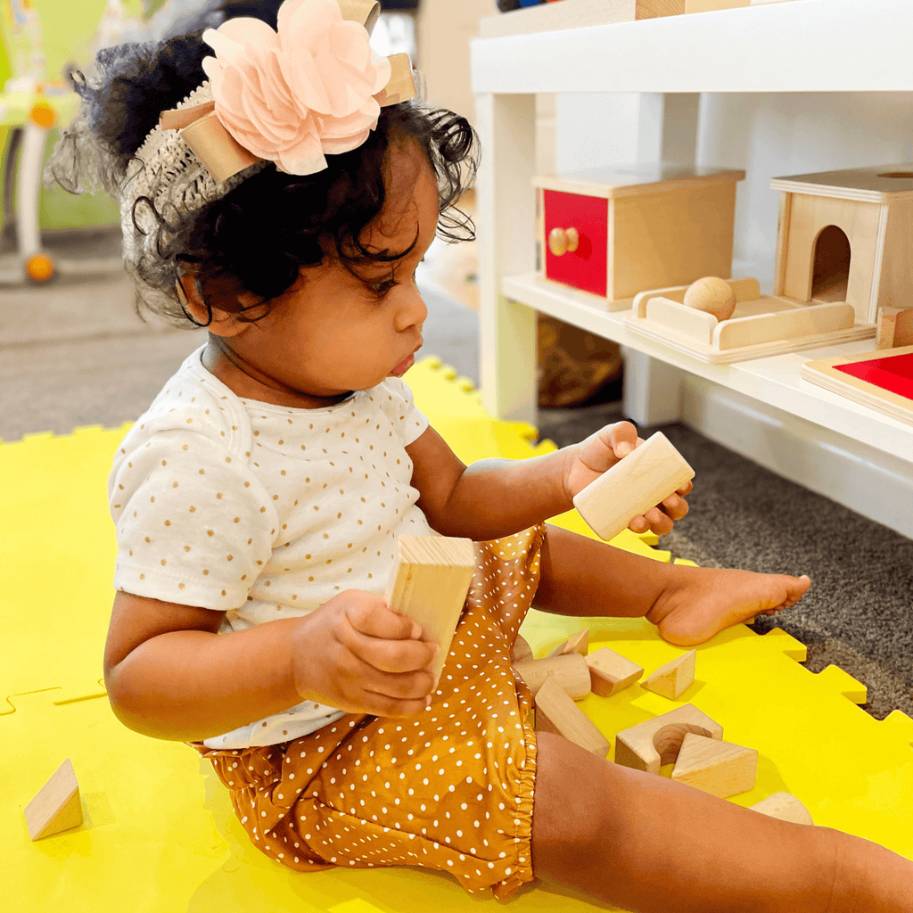 Educational Montessori Toys for Infants