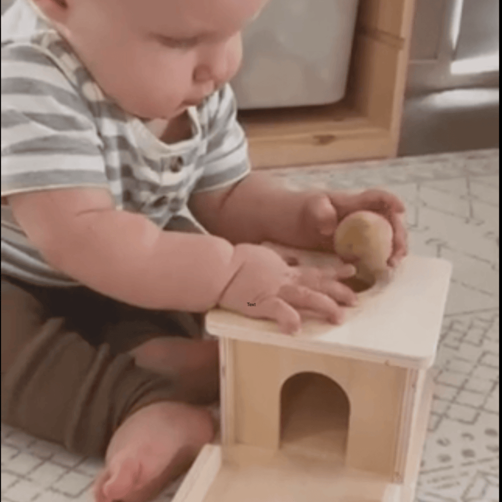Montessori Preschool educational toys